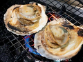 酒処げんてんのおすすめ料理1