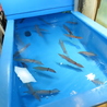 天神居酒屋 あじろのおすすめポイント1