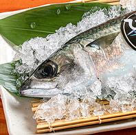 確かな目利きで仕入れる“海鮮”