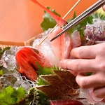 ◇一年中新鮮なお魚をお召し上がりいただけます！◇