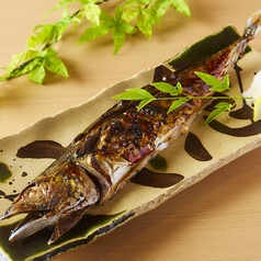 幻の金華サバ一枚炙り焼き ハーフ