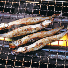 樺太ししゃもの炙り焼