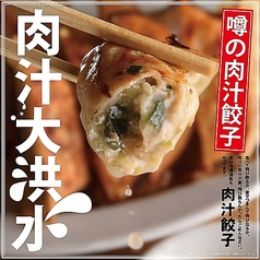 肉汁餃子 (5個)