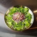 料理メニュー写真&nbsp;ミナリ和牛ユッケ ～チーズのせ～