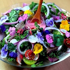 22種類の農園野菜と花のサラダ