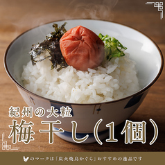 【ご飯のお供】紀州の梅干し