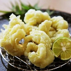 季節限定のおすすめ料理※2026年6月8日～　鱧(はも)の天麩羅