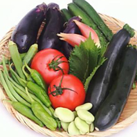 自家栽培の夏野菜使用