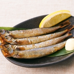 子持ちシシャモ