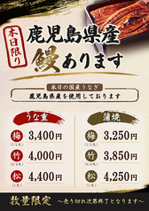 Kagoshima-produced eel, domestically produced eel