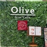 Gran Caffe Olive グランカフェ オリーヴのロゴ