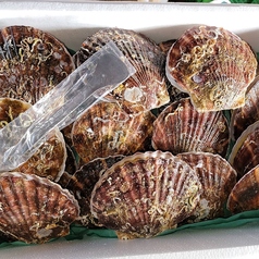 肉も海鮮も野菜も幅広く楽しめるBBQ