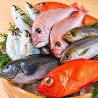 水産業者から毎日仕入れる鮮度抜群の鮮魚