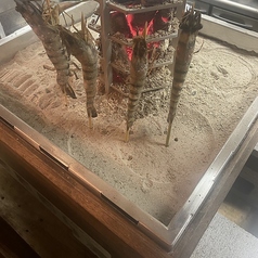 大エビ
