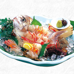 【お造り】鯛の姿造り H 19-1238