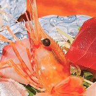 料理長が「厳選」した新鮮なお魚