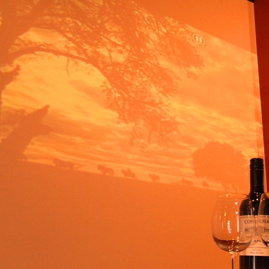 プロジェクター　【塚本 居酒屋 バル ワイン イタリアン 飲み放題 宴会】