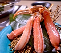 新鮮な海の幸をぜひご堪能ください。