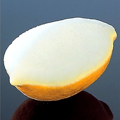 レモンシャーベット