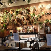 「レインボープランツ」のご紹介！