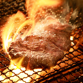 名物のドシ炭火焼ステーキは必ずご賞味頂きたい逸品です。豪快に焼き上げる厳選肉をご堪能下さい。
