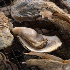 岩牡蠣刺身