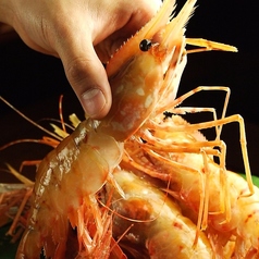 特大ボタン海老（2尾）