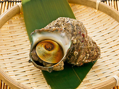 活サザエの壺焼　1個