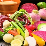 農家直送の新鮮野菜
