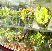 サンチュは、新鮮な葉野菜で、韓国焼肉に欠かせない存在です。肉を包んで食べることで、脂っこさを軽減し、さっぱりとした味わいを楽しめます。栄養豊富で、食感も楽しめるサンチュは、健康志向の方にもおすすめです。ぜひ一緒にお召し上がりください!