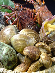 浅草 魚料理 遠州屋のコース写真