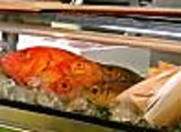 とれたての新鮮魚介