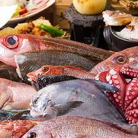名物ざるみせ！淡路直送の鮮魚を堪能