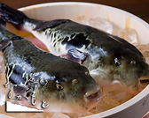 魚彩 なかもとのおすすめ料理3