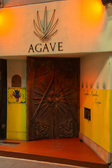 AGAVE アガヴェ画像