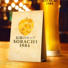 【北海道】SORACHI（ソラチ）生ビール
