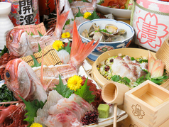 粋な海鮮酒場 ものっその特集写真