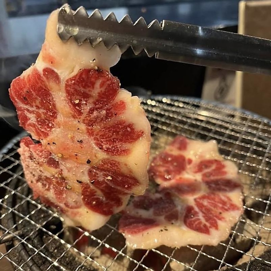 ホルモンのさまざまな部位を豊富にご用意◎「マルチョウ」や「てっちゃん」等の希少部位も楽しめる♪