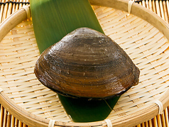 活ホッキ貝の殻焼　1個