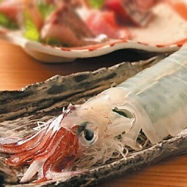 東京イカセンターのおすすめ料理1