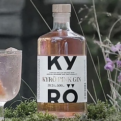 Kyro Pink Gin