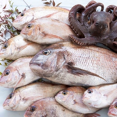 地元でとれた新鮮なお魚を使用