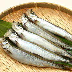 子持ちししゃも(1尾)