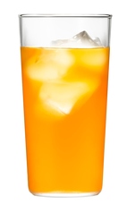 加賀棒ほうじ茶