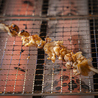 淞作 串焼き酒場のおすすめポイント1
