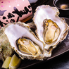 居酒屋 牡蠣狂イのおすすめポイント2