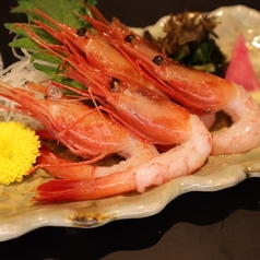 甘エビ刺身
