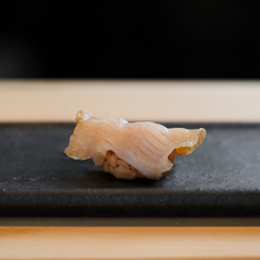 赤ばい貝
