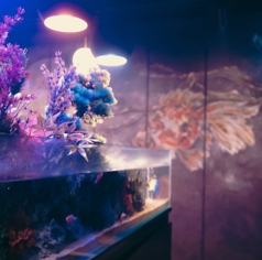 ShishaCafe&Bar KAGEROU大和駅前の特集写真