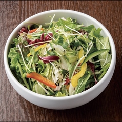 【定番】10種野菜の犇きサラダ